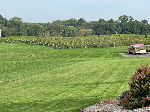 Winery «Gravity Vineyards and Winery», reviews and photos, 10220 Lauer Rd, Baroda, MI 49101, USA