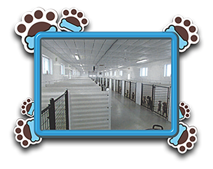 Pet Store «AA Ridgewood Kennels II», reviews and photos, 5401 Lincoln Hwy, Gap, PA 17527, USA