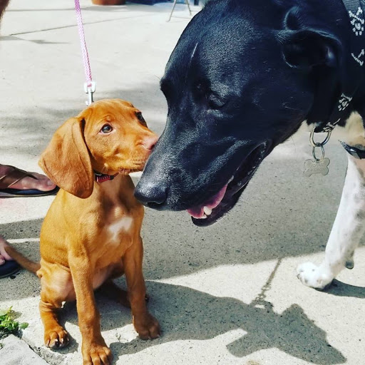 Jeweler «Rohr Jewelers», reviews and photos, 813 N Jefferson St, Milwaukee, WI 53202, USA