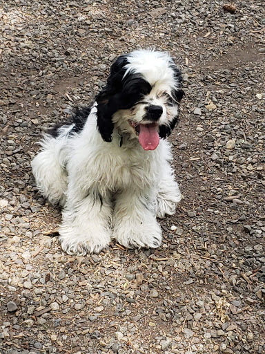 Park «Northacres Park», reviews and photos, 12718 1st Ave NE, Seattle, WA 98125, USA