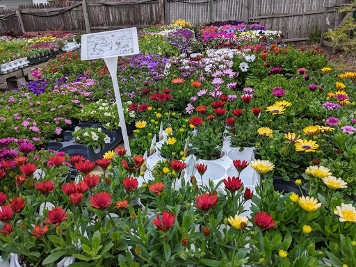 Florist «Butler Florist & Garden Center», reviews and photos, 416 Park Rd, West Hartford, CT 06119, USA