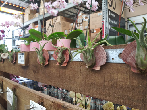 Home Improvement Store «The Home Depot», reviews and photos, 871 North Hwy 27, Lady Lake, FL 32159, USA