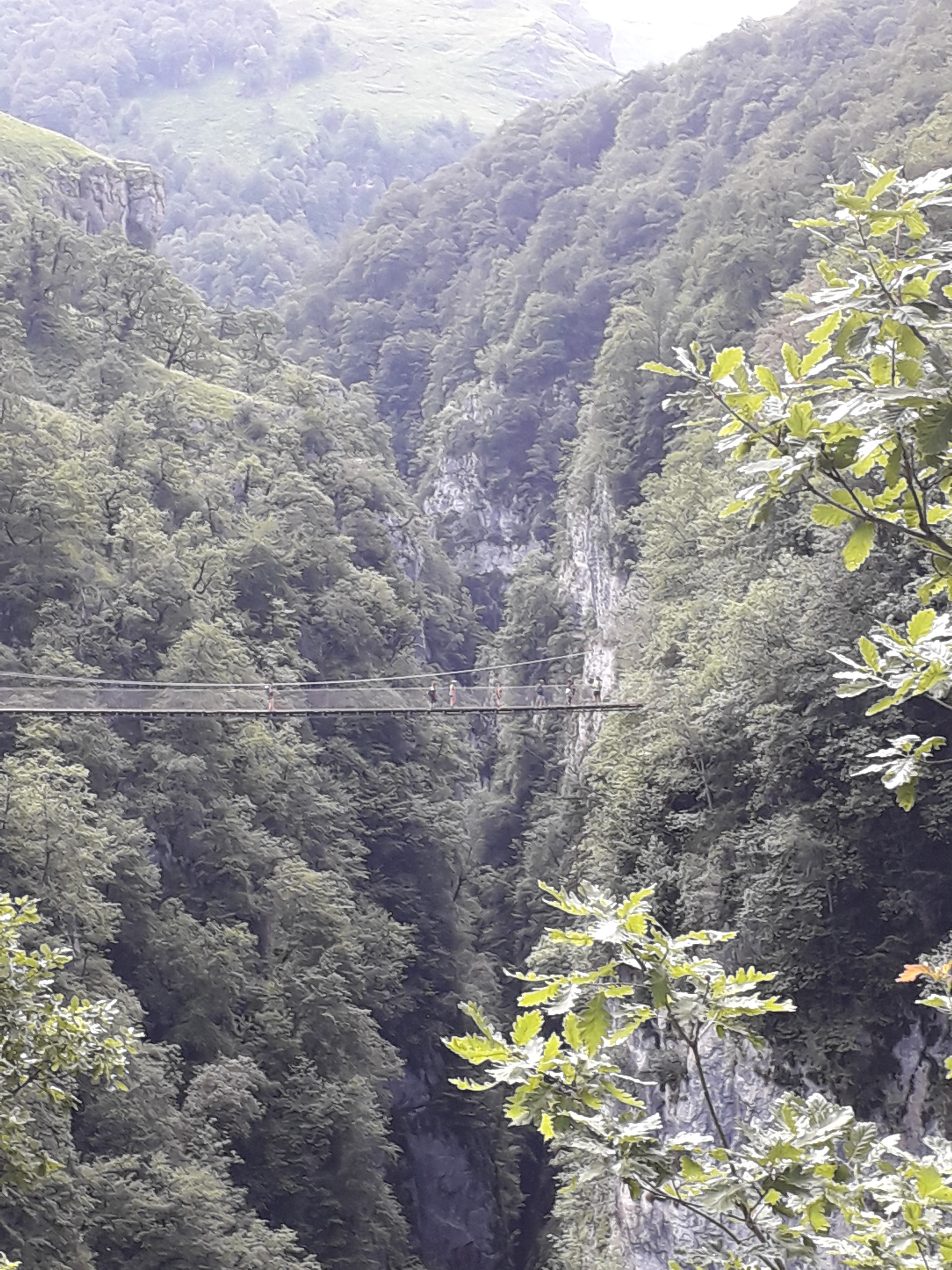 Photo n° 1 de l'avis de Labonneanse.o fait le 15/07/2020 à 09:44