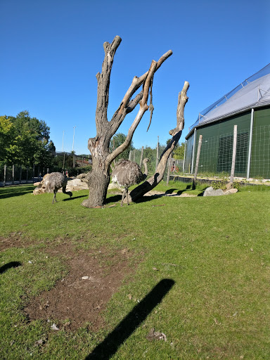 Farmhouses with animals in Rotterdam