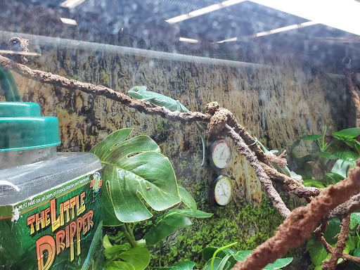 Pet Supply Store «Petco Animal Supplies», reviews and photos, 10464 Baltimore Ave, Beltsville, MD 20705, USA