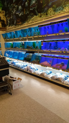 Pet Supply Store «PetSmart», reviews and photos, 12046 Paul Mayer Ave, Bridgeton, MO 63044, USA