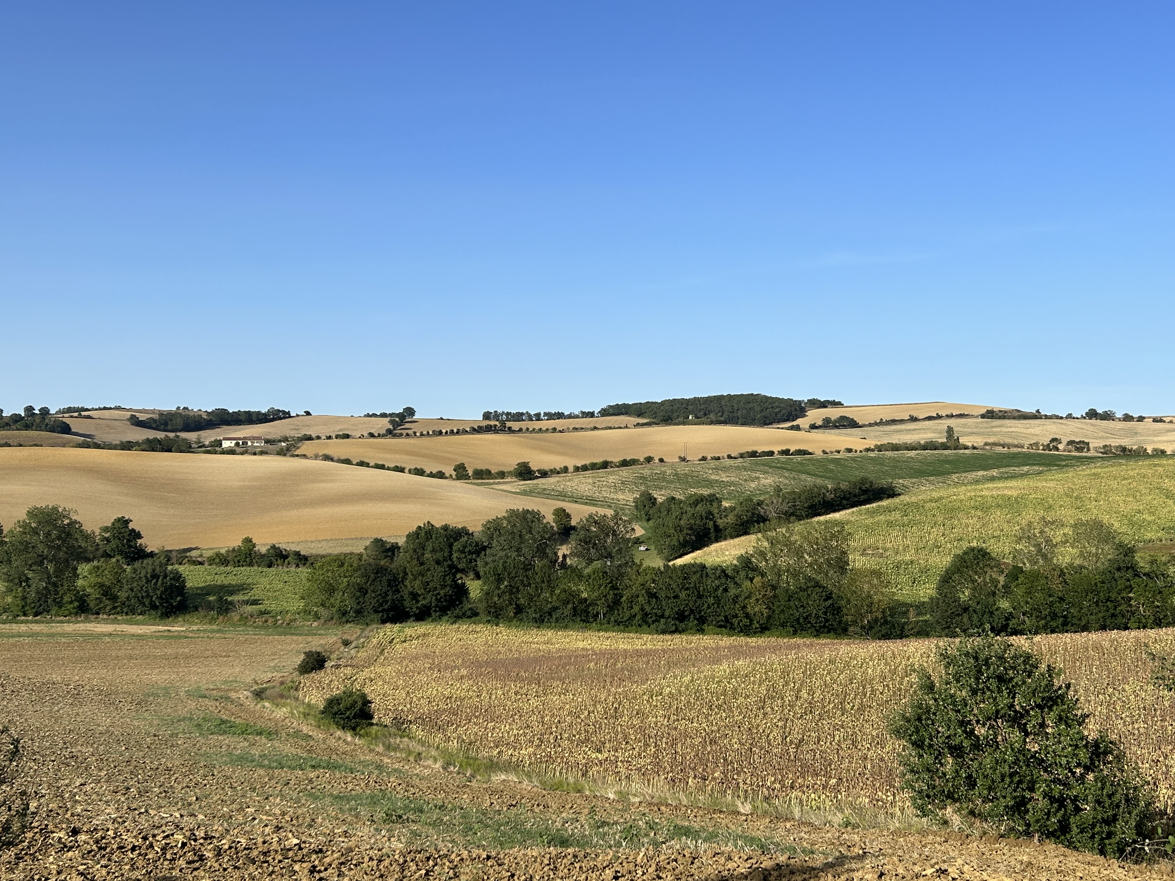 Photo n° 3 de l'avis de Dave.l fait le 24/12/2023 à 14:39