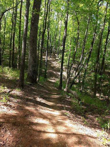 Disc Golf Course «Pipeline Disc Golf Course», reviews and photos, 106 Old Canaan Rd, Spartanburg, SC 29306, USA