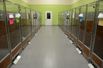 Waggin Tails Resort - Photo 7 - Car repair in Peoria, IL, Peoria