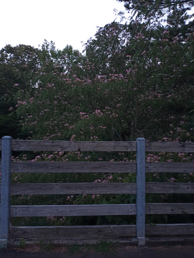 Bicycle Rental Service «Silver Comet Cycles», reviews and photos, 4342 Floyd Rd SW, Mableton, GA 30126, USA