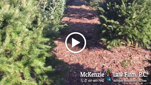 Criminal Justice Attorney «McKenzie Law Firm, P.C.», reviews and photos