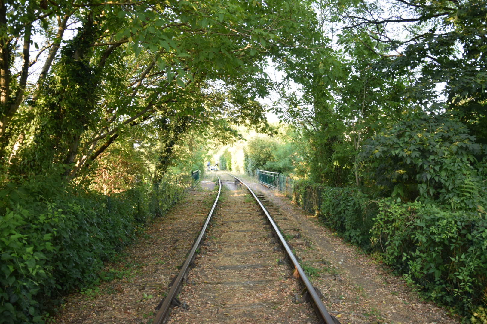 Photo n° 4 de l'avis de Nathanaël.E fait le 06/08/2020 à 14:24