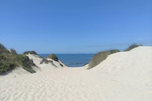 Praia de Fao image