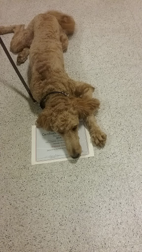 Pet Supply Store «PetSmart», reviews and photos, 23470 Allen Rd, Woodhaven, MI 48183, USA