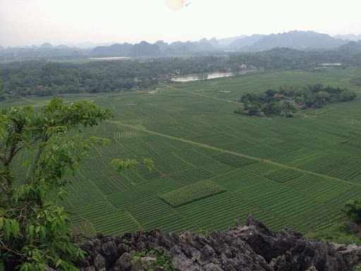 Công Ty Tnhh Cơ Khí Minh Đức