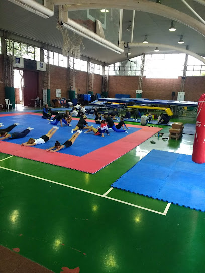 Club Mercantil Instituto Del Taekwondo Argentino