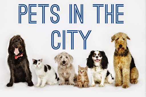 Pets In The City