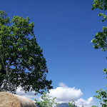 Photo n°6 de l'avis de Anna.u fait le 19/04/2017 à 06:44 sur le  Maneggio Team Horse à San Pietro Ad Lacum