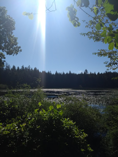 Nature Preserve «Gazzam Lake Nature Preserve», reviews and photos, 6105 NE Marshall Rd, Bainbridge Island, WA 98110, USA