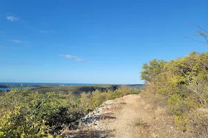 Guánica State Forest image