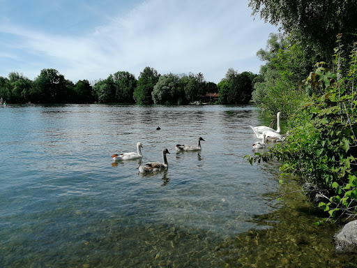 Feldmochinger See