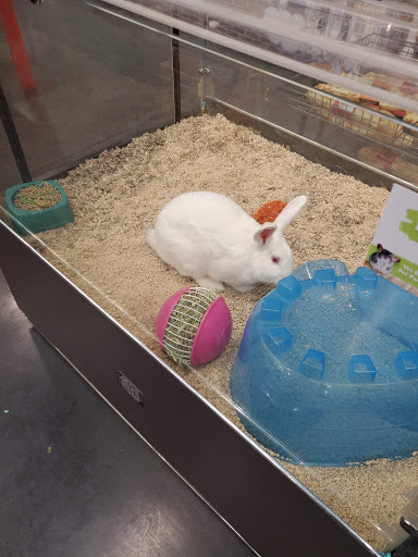 Pet Store «Market Street PET DEPOT», reviews and photos, 2979 S Market St, Gilbert, AZ 85295, USA