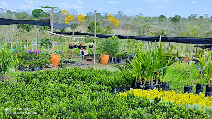 Vivero productor JEC