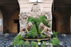 Fontana dei Due Leoni image