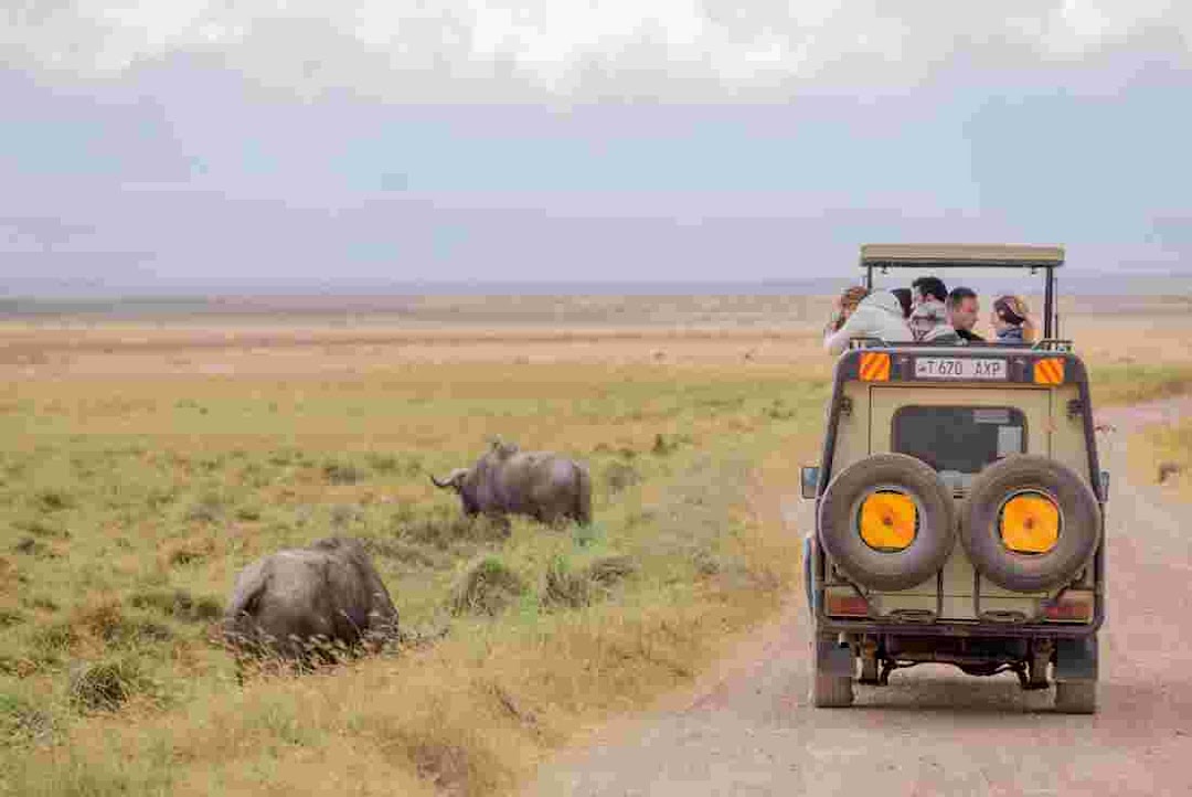 Car Hire Arusha Safaris Tanzania