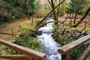 Viesca Park image