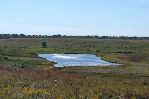 Lake in the Hills Fen Conservation Area image