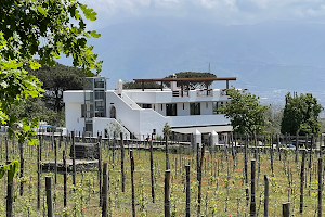 Cantina del Vesuvio Winery Russo Family image