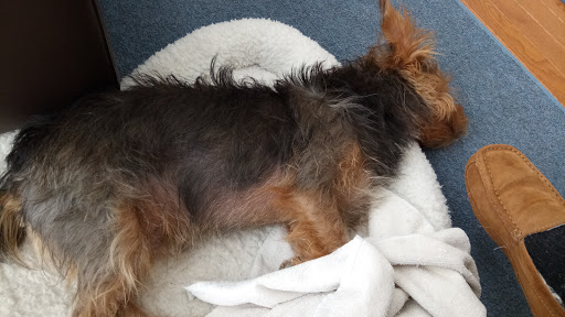 Car Dealer «Falls Chrysler Jeep Dodge», reviews and photos, 4100 State Rd, Cuyahoga Falls, OH 44223, USA