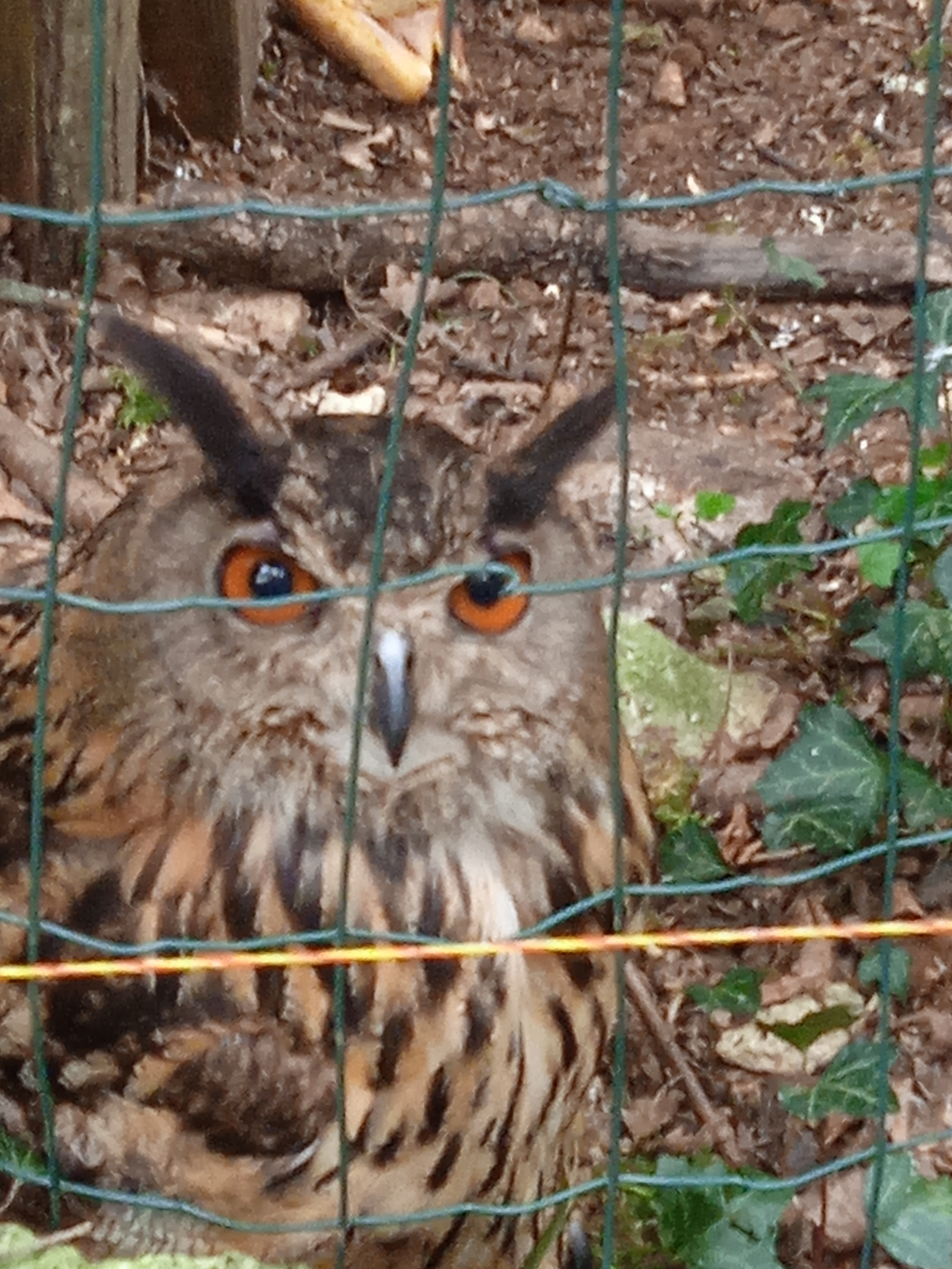 Photo n° 3 de l'avis de anne-marie.a fait le 31/07/2021 à 18:27