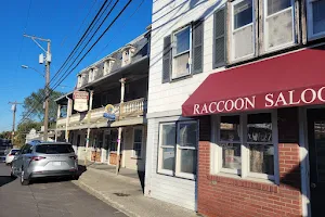 Raccoon Saloon image