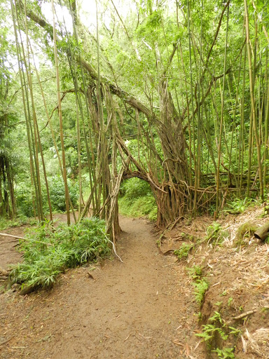 Luaalaea waterfall trail
