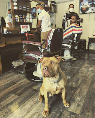 Barbercheap à Ramonville-Saint-Agne