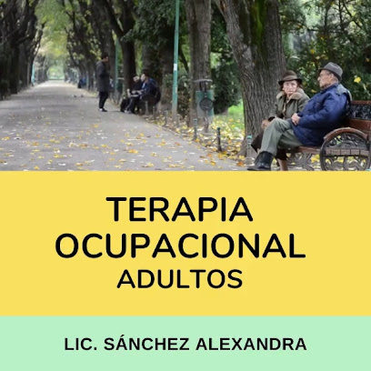 Lic Alexandra Sanchez - Terapista Ocupacional