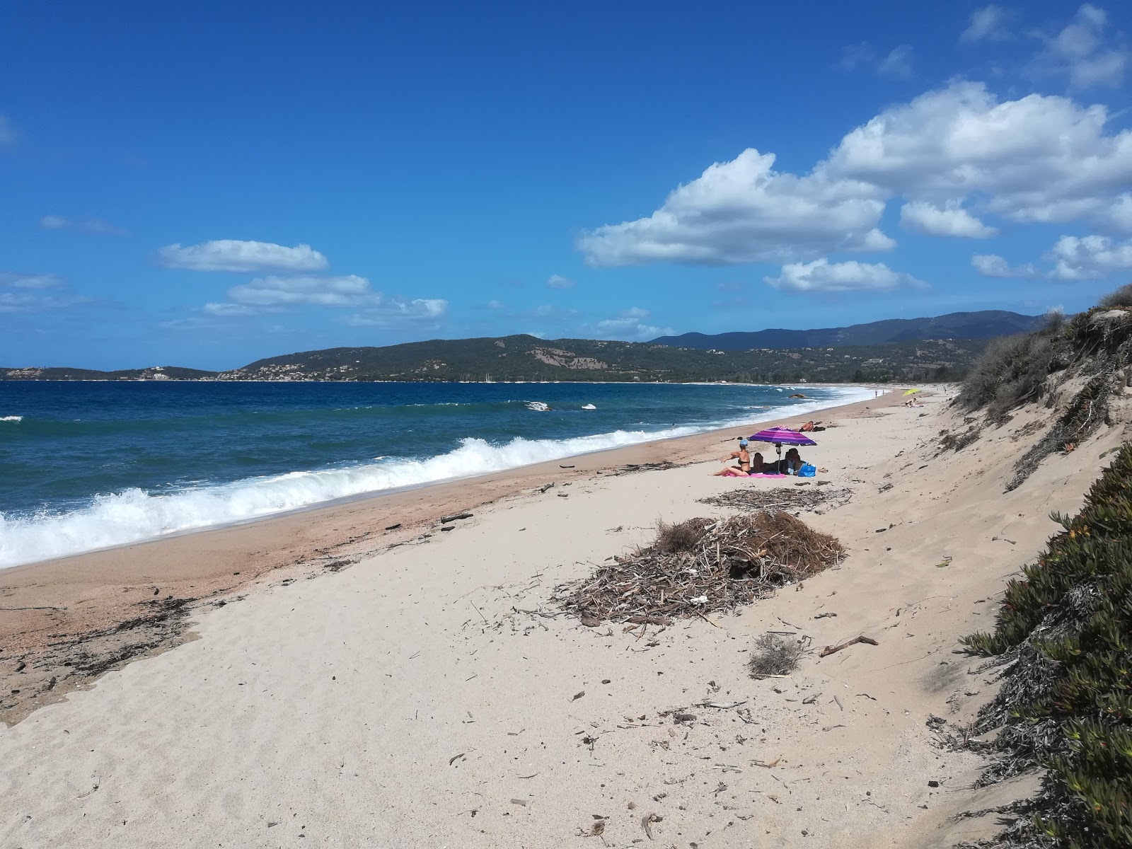 Zdjęcie Tenutella beach z poziomem czystości wysoki