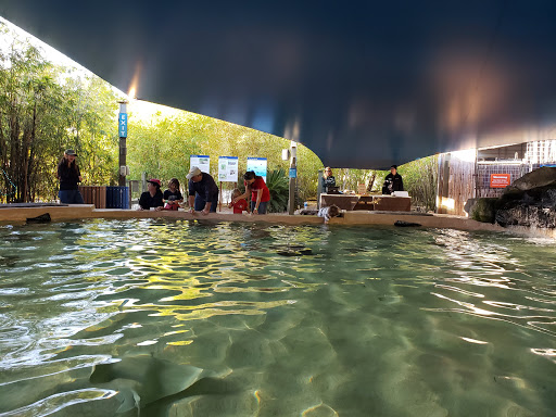 Zoo «Phoenix Zoo», reviews and photos, 455 N Galvin Pkwy, Phoenix, AZ 85008, USA