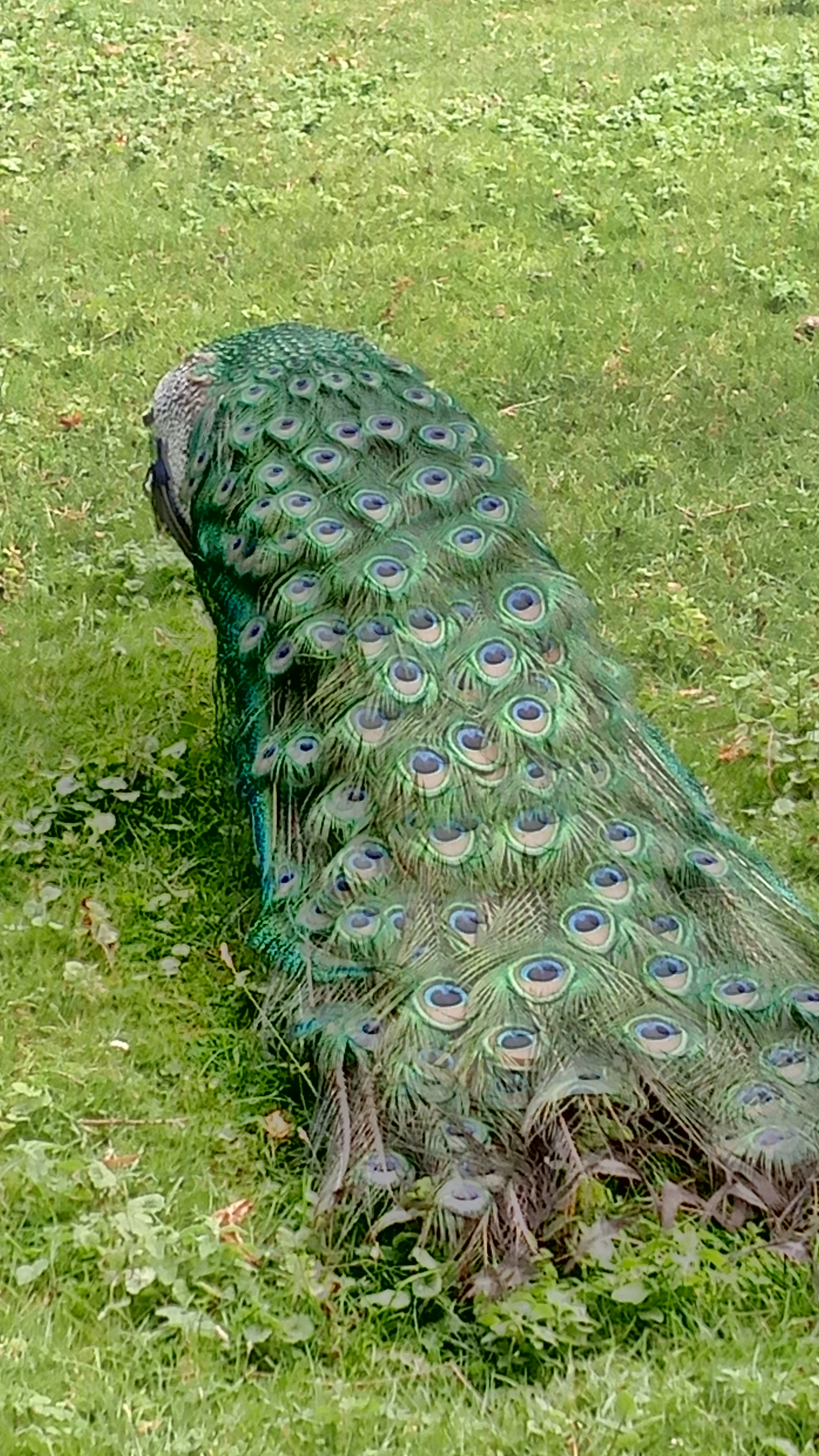 Photo n° 5 de l'avis de patrice.a fait le 12/07/2019 à 07:54