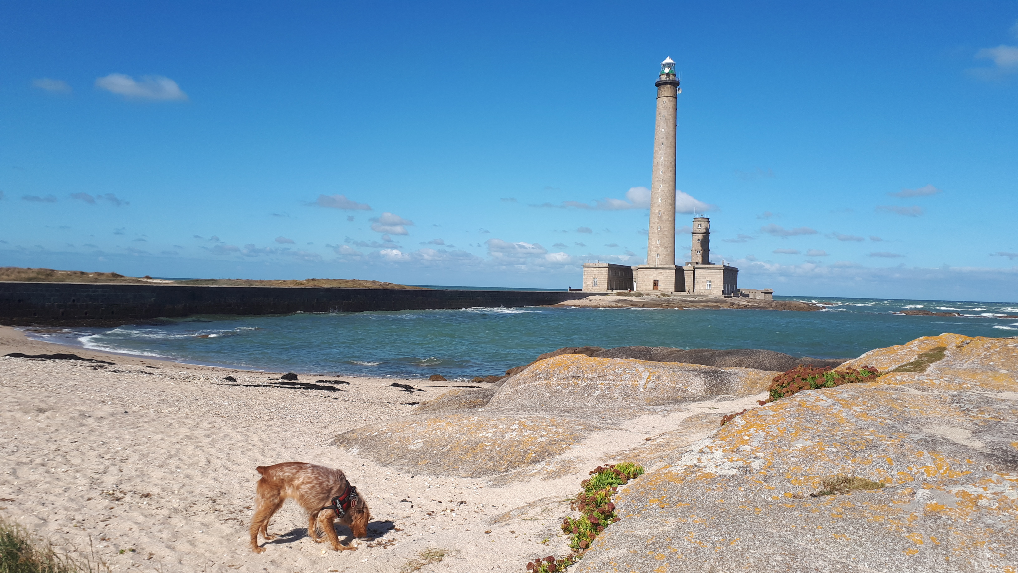Photo n° 18 de l'avis de nathalie.a fait le 20/09/2019 à 08:30