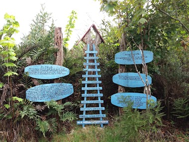 Ecological Park And Chiloe Mitológico