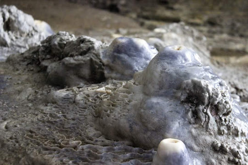 Non-Profit Organization «Westcave Outdoor Discovery Center», reviews and photos, 24814 Hamilton Pool Rd, Round Mountain, TX 78663, USA