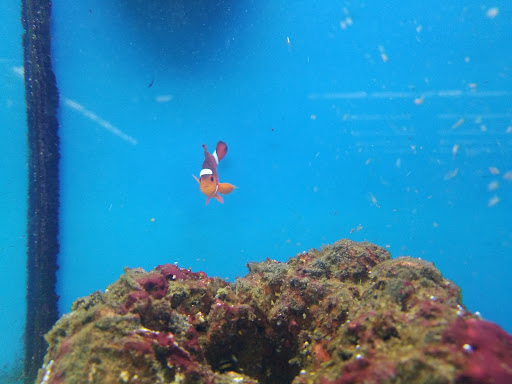 Pet Supply Store «Petco Animal Supplies», reviews and photos, 2140 E Blvd St, Kokomo, IN 46902, USA