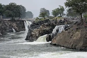 Hoganekal Garden image