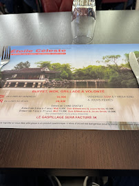 Les plus récentes photos du Restaurant asiatique Étoile Céleste à Kingersheim - n°10