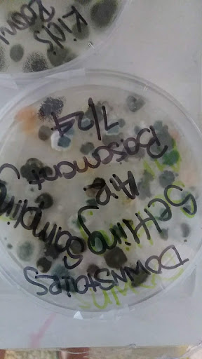 Property Management Company «The Grandin Agency Property Management», reviews and photos, 422 Campbell Ave SW, Roanoke, VA 24016, USA