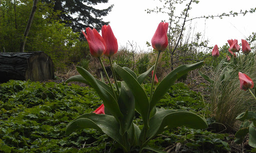 Park «Fremont Peak Park», reviews and photos, 4357 Palatine Ave N, Seattle, WA 98103, USA