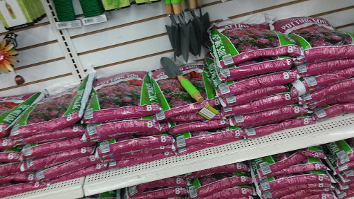 Dollar Store «Dollar Tree», reviews and photos, 120 N Brookwood Ave, Hamilton, OH 45013, USA